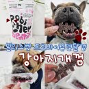 스마트덴탈 | 강아지 유산균 덴탈껌 빌리스벳 프로바이츄 베리요거트 개껌 후기