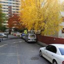 중동로49번길 이미지