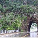 설천면009 Daum카페