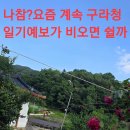 44매니아