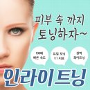 인라이튼