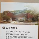 화명1동 주민센터 | 화명생태공원 조명트리