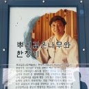순천시립뿌리깊은나무박물관 | 순천시립 뿌리깊은나무 박물관