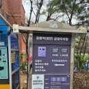 개나리 | 응봉산 개나리 만개 후기 2026 지금이 절정! 서울 봄꽃 명소 교통·주차·맛집 총정리