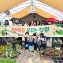 꿈꾸는 정원 이미지