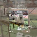 제주여행)아이들과 가볼만한곳 앵무야앵무야