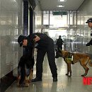 한국마사회수원지점