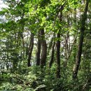 영림목장 이미지