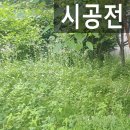 하남중 앞 네이버블로그