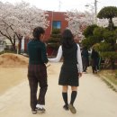 봉선중학교 이미지