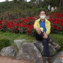 계양산 계양공원 이미지