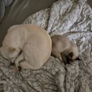 천회초밥 | 식당 천회초밥 내돈내먹