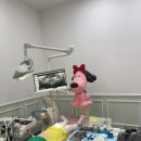 꿈이있는치과의원 | [평택]퍼스트어린이치과 다녀온 후기_실란트, 홈메우기 레진 보험적용 어린이영구치 어금니 관리
