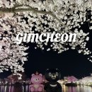 김천시청_#4 | 전국 벚꽃명소 김천 연화지 벚꽃축제 기간, 주차장, 먹거리, 실시간 CCTV, 야경 방문 후기