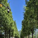 덕산 온천탕 이미지