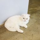 동산동물병원 이미지