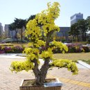 광주광역시청 B 이미지