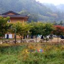 하일한드미마을 이미지