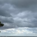 더플레이스34 이미지