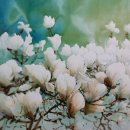 이슬 세탁소 이미지