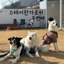 스테이한가로이 - 밀양시 산내용전3길 23-1 | 스테이한가로이