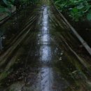 오수농장 이미지