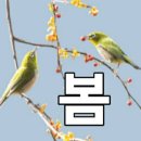 오광기업 | 先酒後麵(선주후면)