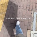 대구 달서구 분위기임장 보고서 ② (용산자이, 빌리브스카이)