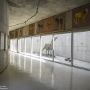 광무목장 이미지