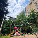 압구정-204 네이버블로그