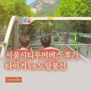 도로변(구로중앙로 135-6)(2) | 서울 이색 데이트 추천 | 타이거버스 vs 노랑풍선버스 완벽 비교 + 서울시티투어 후기🚌🫧