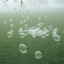 그린향 | 올영 향수 추천, 비비앙 월넛크릭그린 후기 | 가성비 비누향 향수 찾는다면 이거!