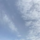 돌할매식당 이미지