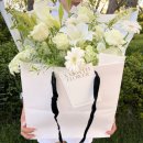 어먼스 플라워(a.month.flower)