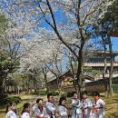 용인대홍익태권도장 네이버블로그