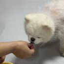 소미담천안통정점 이미지