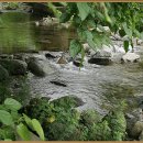 골드캐슬펜션 이미지