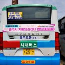 충주시치매안심센터 이미지