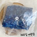 뉴고려당 | [ 서울 / 강남 ] 수영선수가 만든 수영복, 알고 계시나요?!? ( #키로우팝업 #키로우수영복 #내돈내산키...
