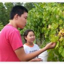 건희농장 이미지