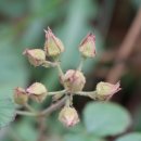 과거,현재,미래 이미지