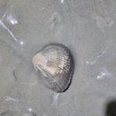 배가정원민박 이미지