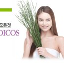 샤인 메디코스 이미지