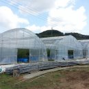 인수농장 이미지