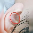 지금시작 뷰티hye