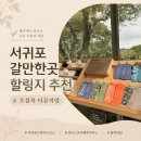 티뮤지움 창덕궁지점 | 서귀포 갈만한곳 할링지 추천, 오설록 티뮤지엄 방문기