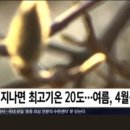 나우점핑