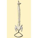 (주)진산메디칼 이미지