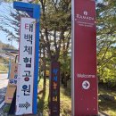 당골목장 | 💡동네 한바퀴(태백소도동): 아침을 여는 소리 스케치