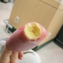 새론리빙